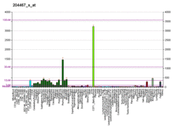 PBB GE SNCA 204467 s at fs.png