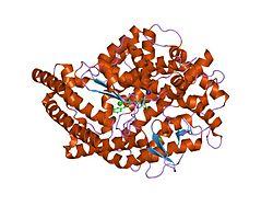 PDB 1o86 EBI.jpg