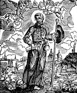 Vissenaken Himelinus 3.jpg