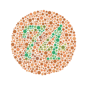 Ishihara 9.png