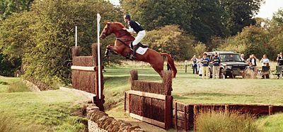Foxpitt2.jpg