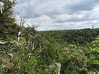 Goblin combe.jpg