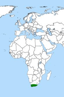 Roridula distribution.svg