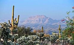 85631-RedingtonRd.jpg