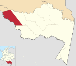 Location of the municipality and town of Puerto Alegría in the Amazonas Department of Colombia