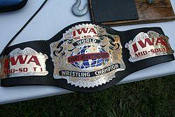 IWAMS Light Heavyweight.jpg