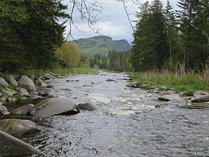 Swift Diamond River.jpg