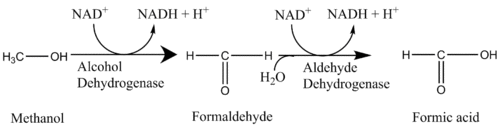 Methanol conversion.png