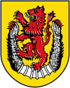 Coat of arms of Diepholz