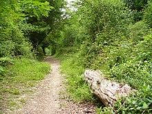 Juniper Hill - geograph.org.uk - 460537.jpg