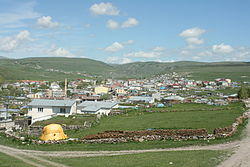 Hanak.JPG