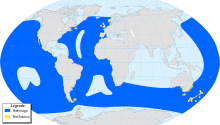 Sooty Shearwater-map-localisation-fr.svg