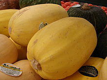 Starr 070730-7822 Cucurbita pepo.jpg