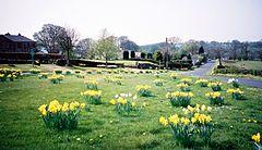 Village green, Banks - geograph.org.uk - 1465571.jpg