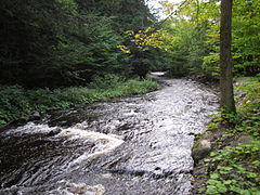 Whetstone Gulf State Park 20110911.jpg