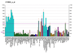PBB GE APRT 213892 s at fs.png