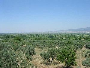 Plain of Corupedium.jpg