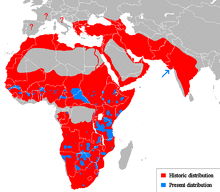 Lion distribution.png