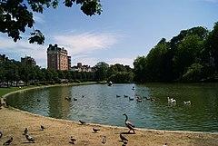 Ixelles Ponds.JPG