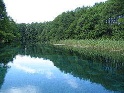 Black Drim wells.jpg