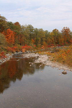 Bowman Creek looking downstream in its lower reaches.JPG