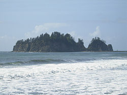 James Island from the beach at La Push
