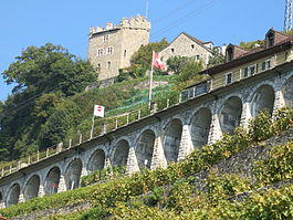 Puidoux Tour Marsens.JPG