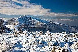 Kadiitsa IMG 9979.jpg