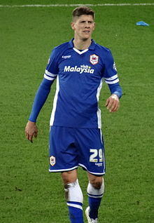 Alex Revell Cardiff City 2015.jpg