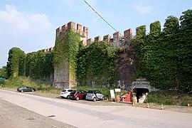 37017 Lazise, Province of Verona, Italy - panoramio (19).jpg
