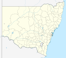City of Newcastle is located in Local government areas of New South Wales