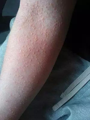 WP 20120924 8.jpg