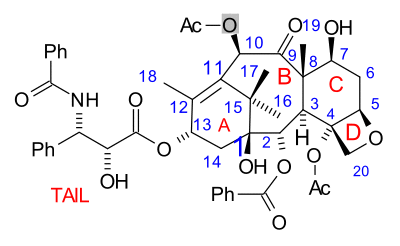 Taxol numbering scheme