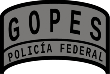 GOPES Patch.png