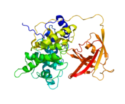 Protein GIF PDB 2CKT.png