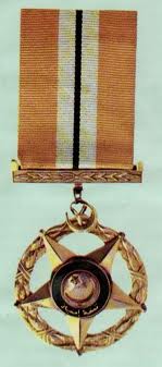 Tamgha-e-Imtiaz (Medal of Excellence).jpeg