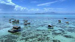 Bajau-Philippines 4.jpg