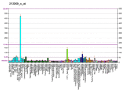PBB GE STIP1 212009 s at fs.png
