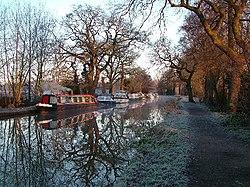 Wey Navigation Canal, Pyrford - geograph.org.uk - 22119.jpg