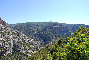 20090729 parnonas06.jpg