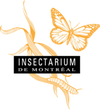 Montrealinsectariumlogo.png