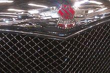 SS Jaguar Badge (8936784478).jpg