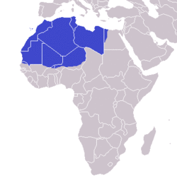 Tamazgha