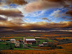 A farm in Windsor Township