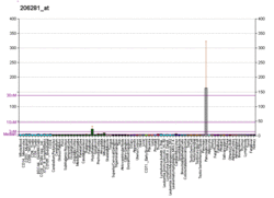 PBB GE ADCYAP1 206281 at fs.png