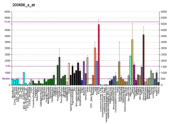 PBB GE GSN 200696 s at fs.png