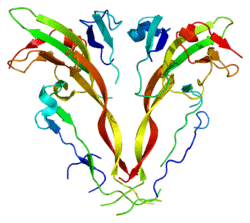 Protein ACVR2B PDB 1nys.png