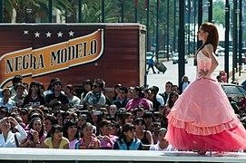 Quinceañeras 2011 - Pasarela (5580591293).jpg