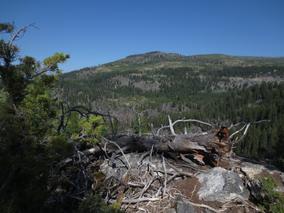 Looking Across Bellevue Canyon from the Boulderfields.png