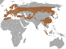 European Otter area.png